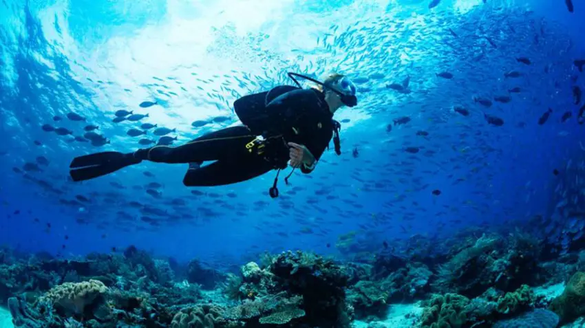 30 Diving Quiz Questions and Answers