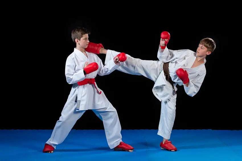 30-karate-quiz-questions-and-answers-onlineexammaker-blog