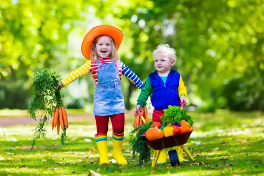 30 World Vegetarian Day Quiz Questions and Answers