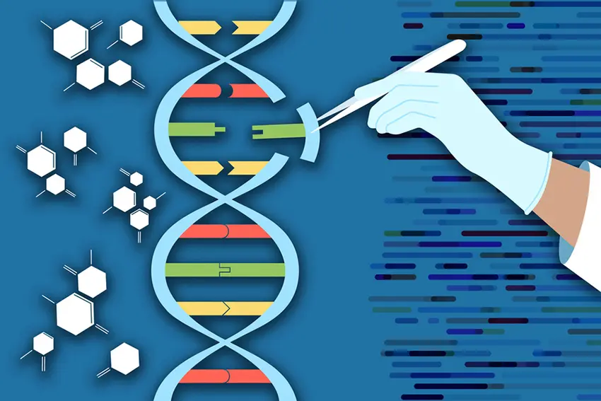 30 DNA Technology Quiz Questions and Answers