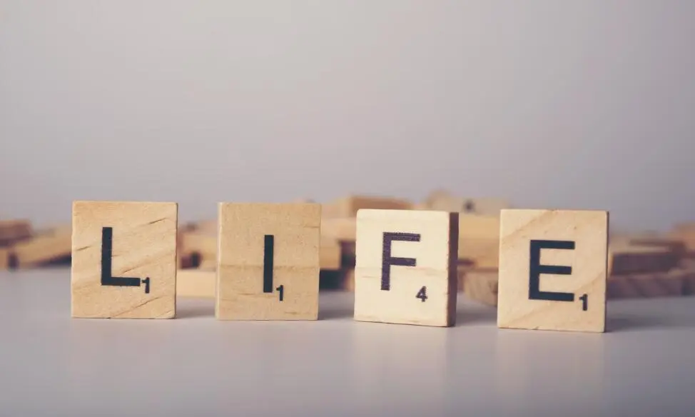 Life Purpose Quiz Questions And Answers OnlineExamMaker Blog