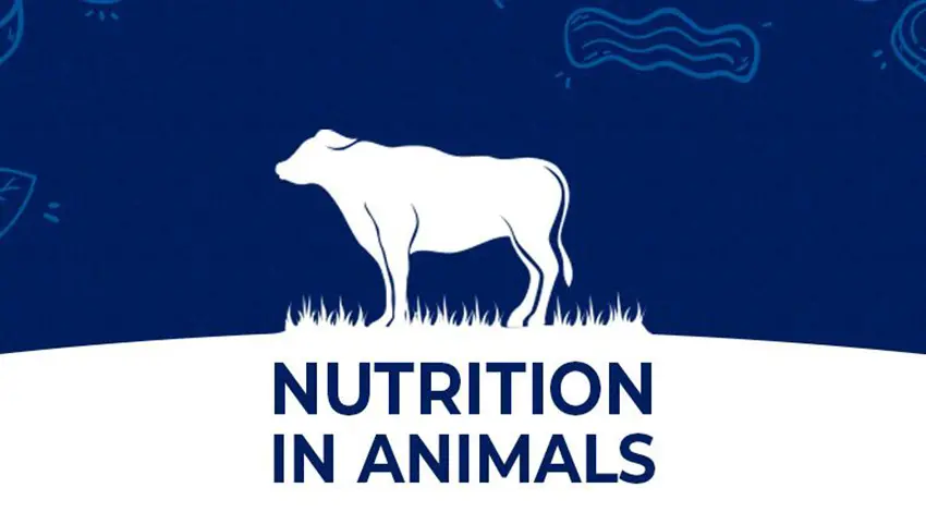 30 Animal Nutrition Quiz Questions and Answers