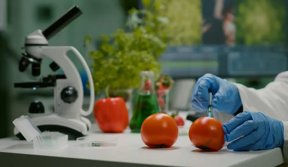 20 Food Science Quiz Questions and Answers