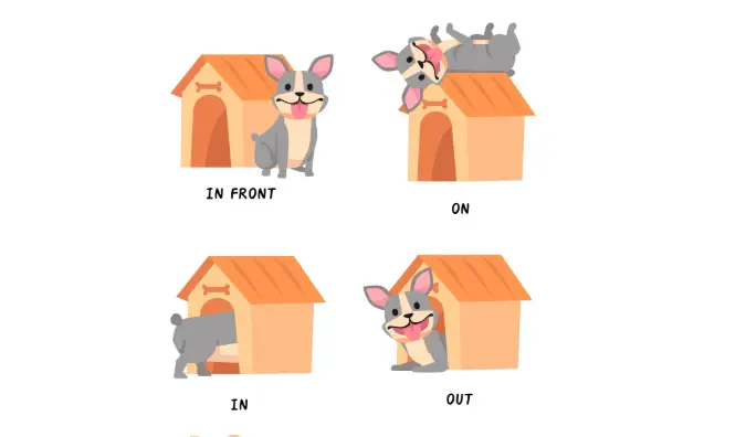 20 Prepositions and Prepositional Phrases Quiz Questions and Answers