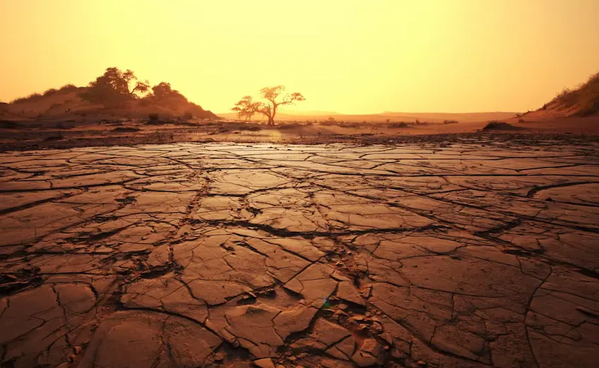 20 Arid Quiz Questions and Answers