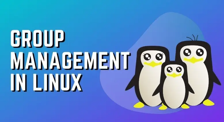 20 Linux User and Group Management Quiz Questions and Answers