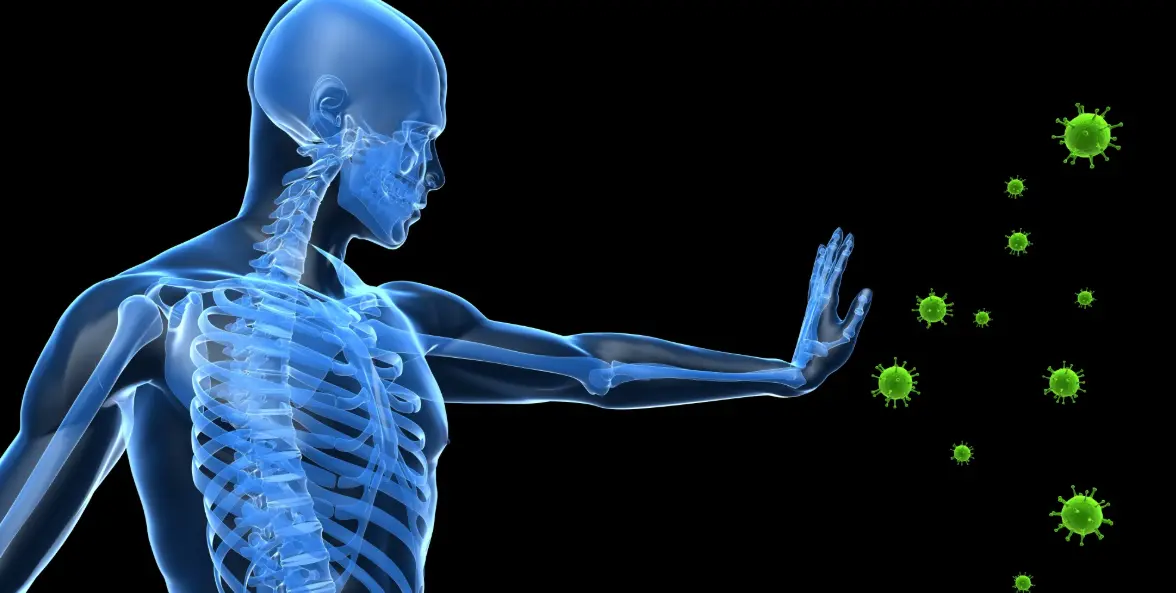 20 Immune System Quiz Questions and Answers
