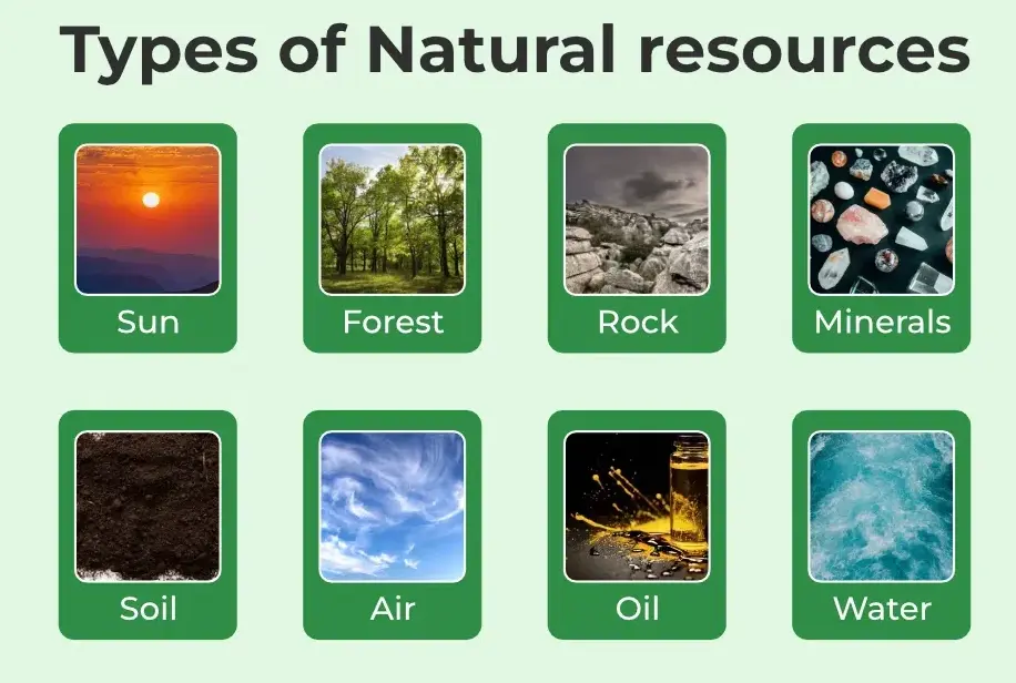 20 Natural Resource Quiz Questions and Answers