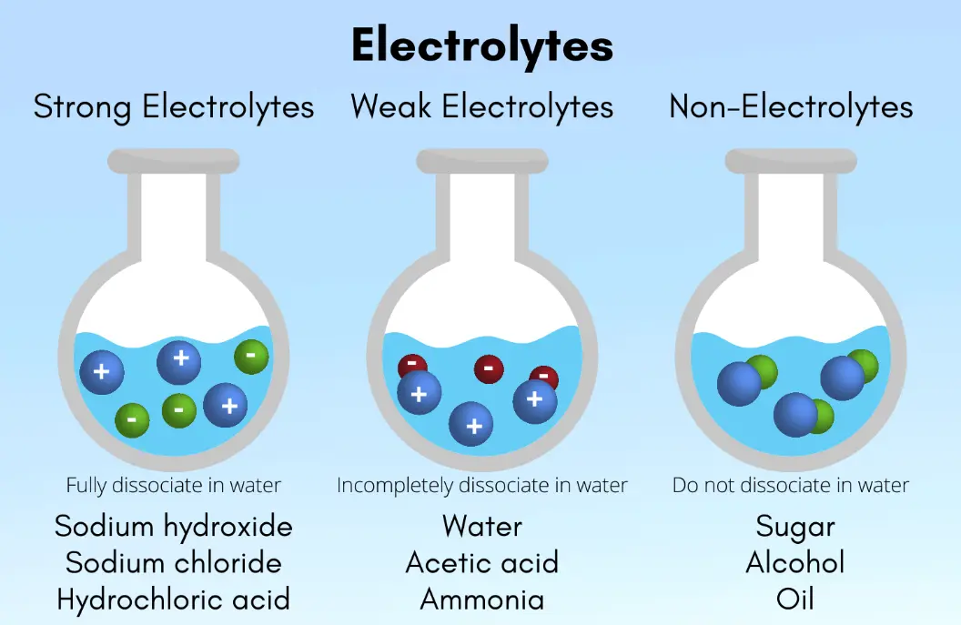 20 Electrolytes Quiz Questions and Answers