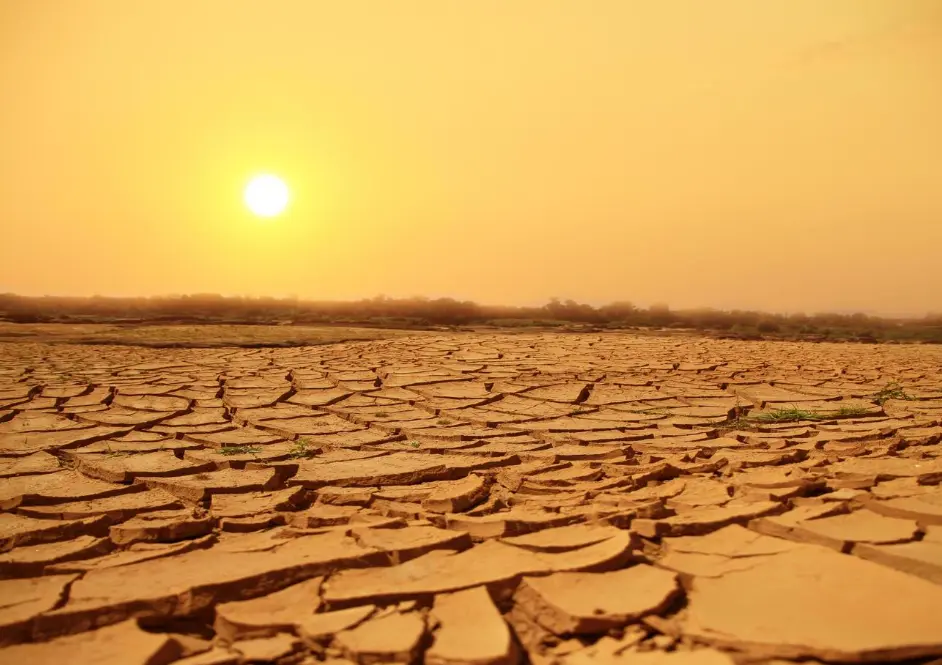 20 Dry Season Quiz Questions and Answers