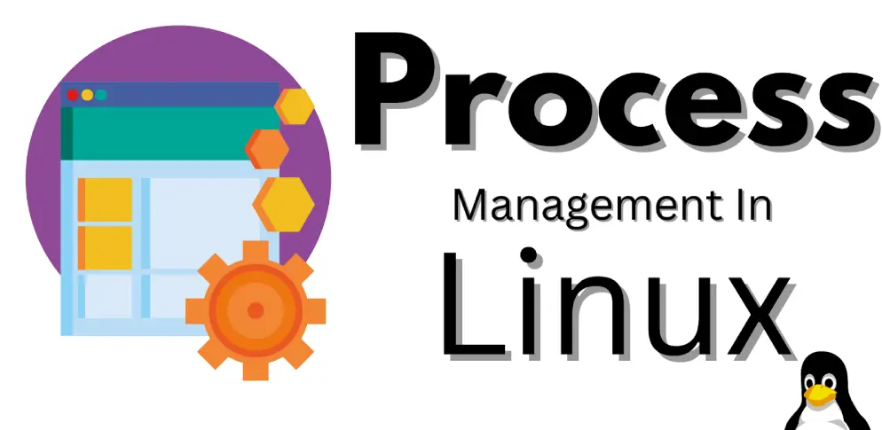 20 Linux Process Management Quiz Questions and Answers