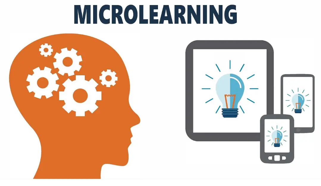 20 Microlearning Quiz Questions and Answers