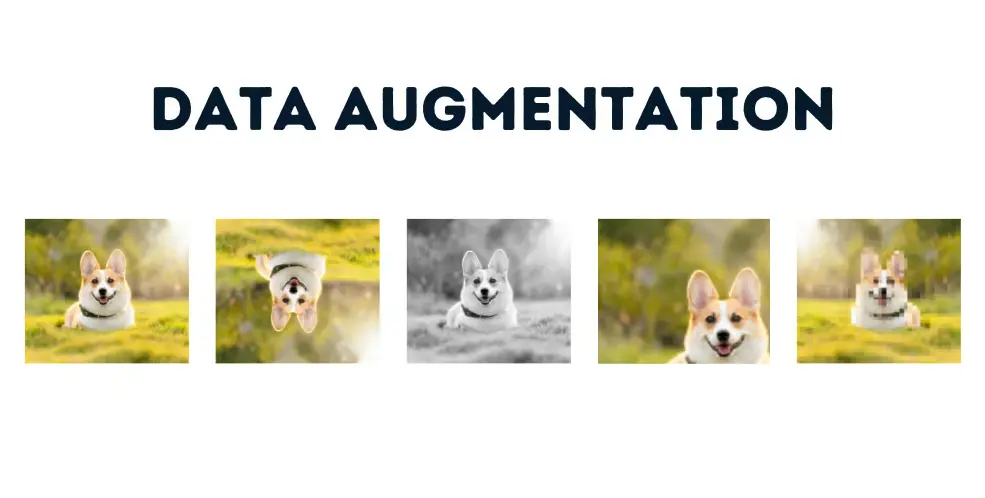 20 Data Augmentation Quiz Questions and Answers