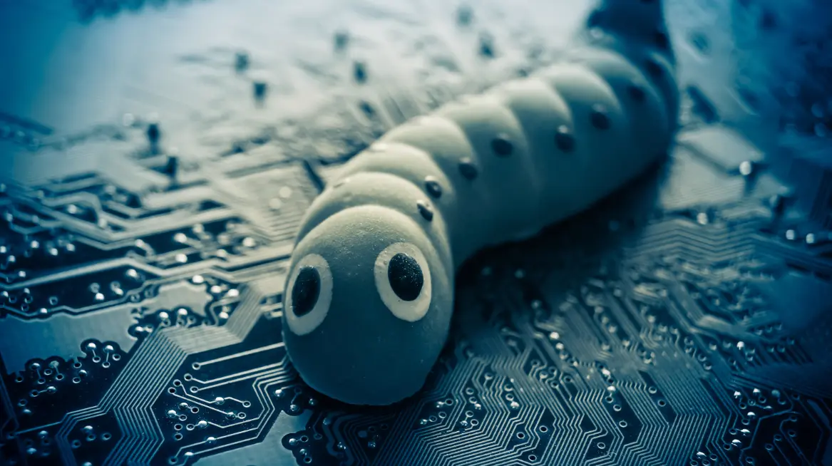 20 Computer Worm Quiz Questions and Answers