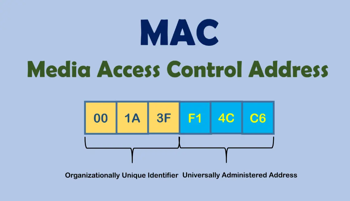 20 Mac Addressing Quiz Questions and Answers