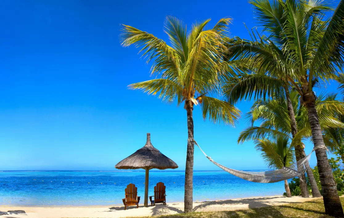 20 Tropical Quiz Questions and Answers
