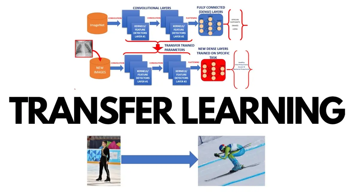 20 Transfer Learning Quiz Questions and Answers