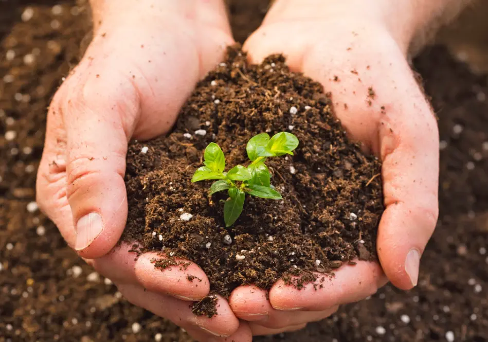 20 Soil Science Quiz Questions and Answers