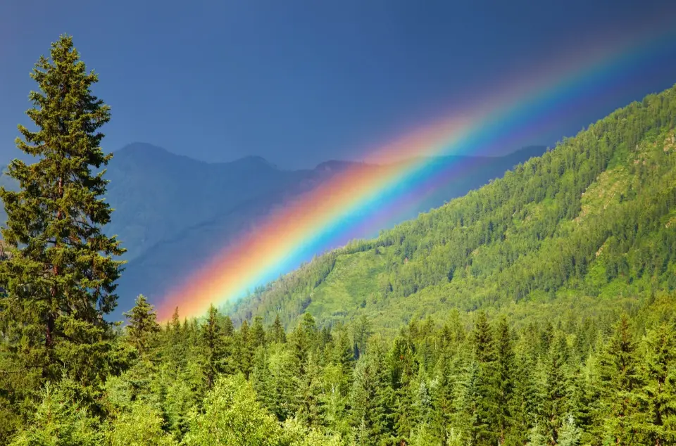 20 Rainbow Quiz Questions and Answers