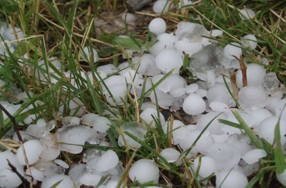 20 Hail	Quiz Questions and Answers