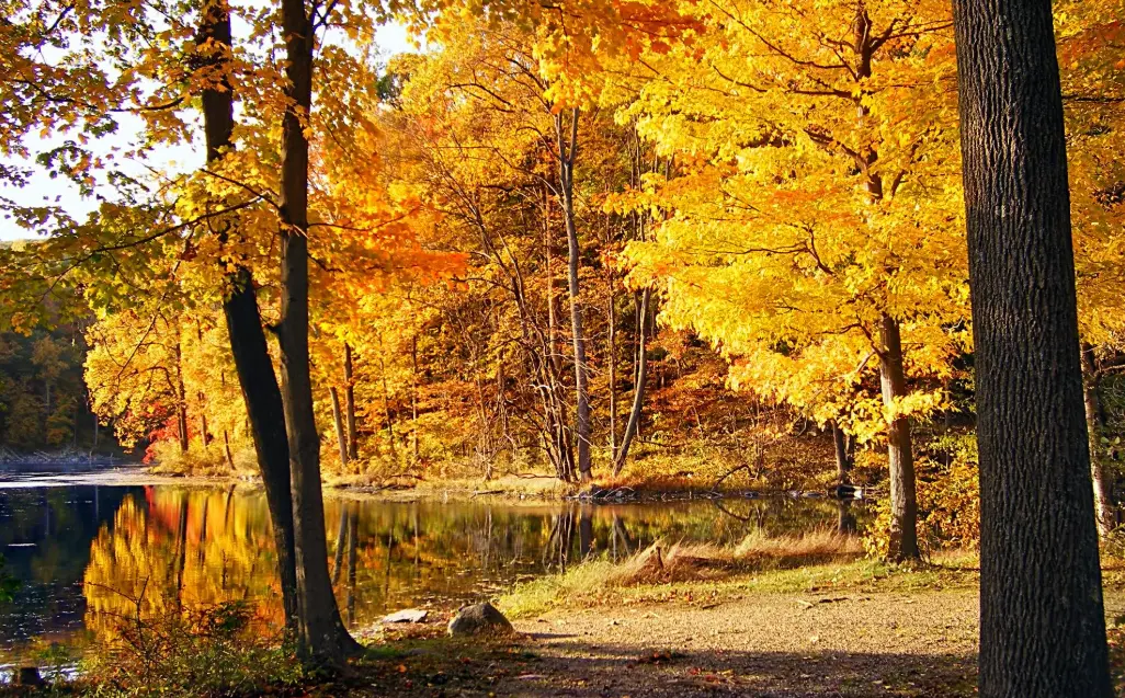 20 Temperate Quiz Questions and Answers