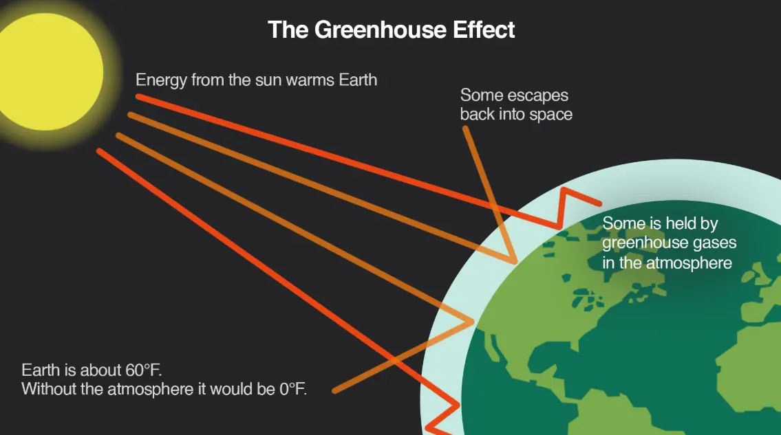 20 Greenhouse Effect Quiz Questions and Answers