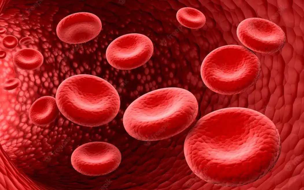 20 Hematology Quiz Questions and Answers