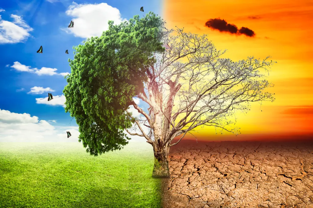 20 Climate Quiz Questions and Answers