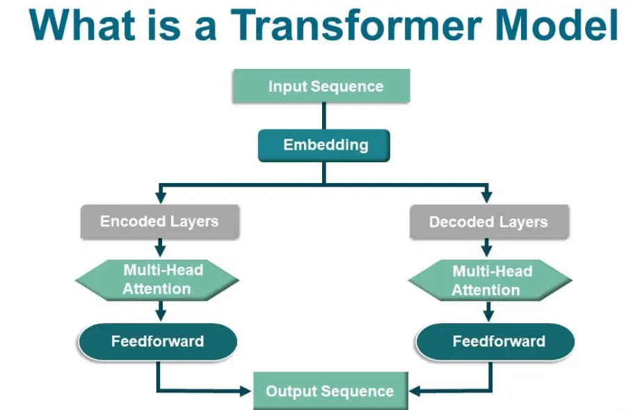 20 Transformer Models Quiz Questions and Answers