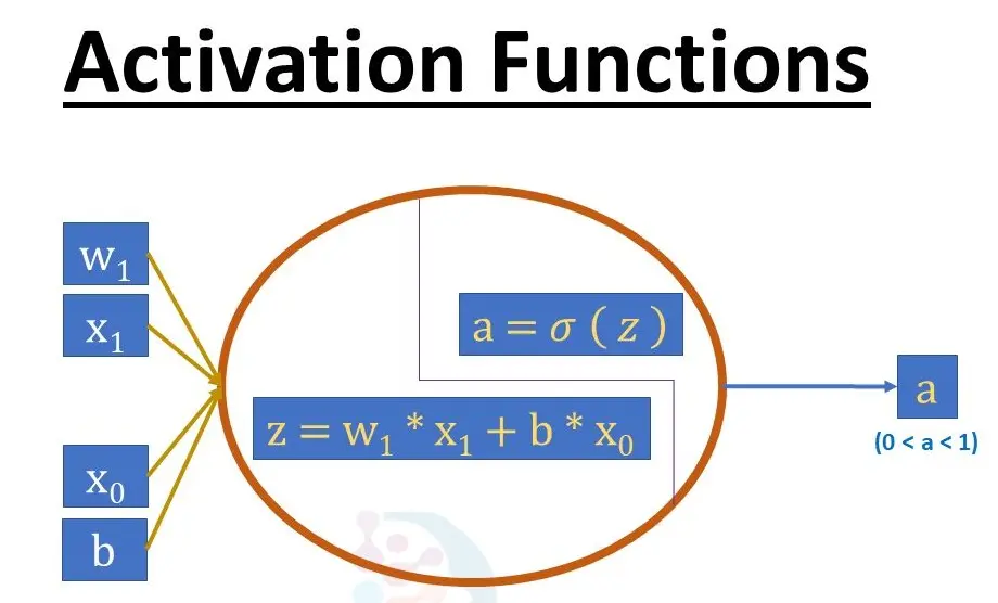 20 Activation Functions Quiz Questions and Answers
