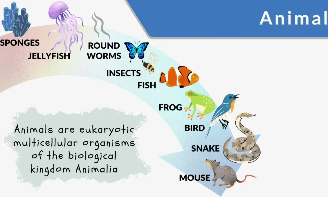 20 Animal Biology Quiz Questions and Answers