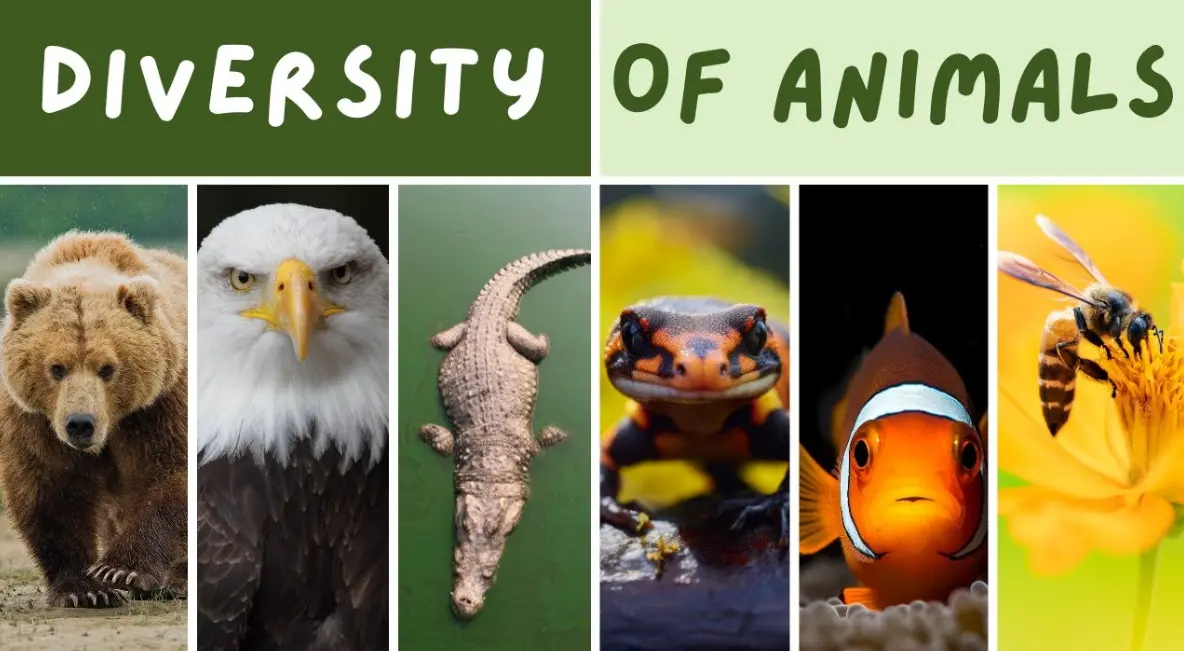 20 Animal Diversity Quiz Questions and Answers