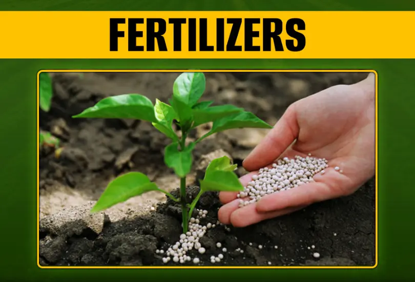20 Fertilizers Quiz Questions and Answers