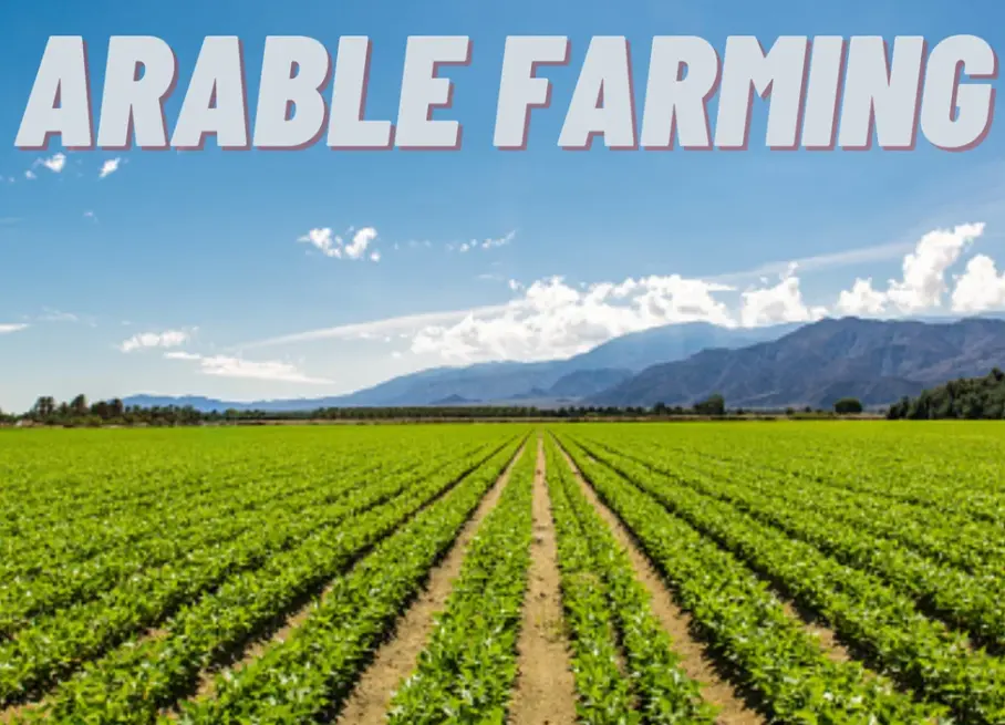 20 Arable Farming Quiz Questions and Answers