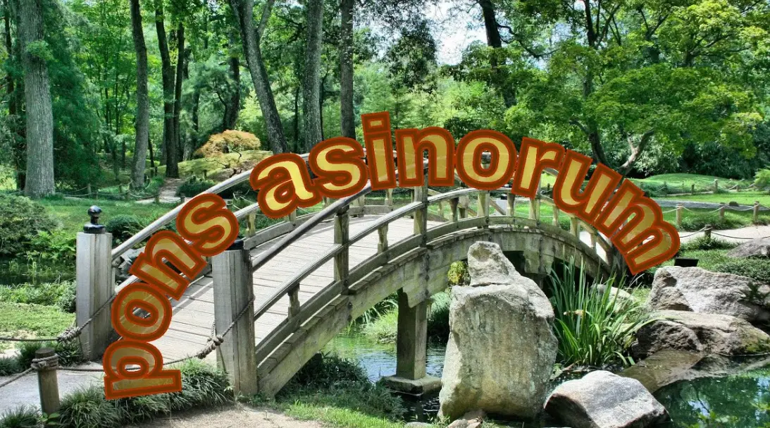 20 Pons Asinorum Quiz Questions and Answers