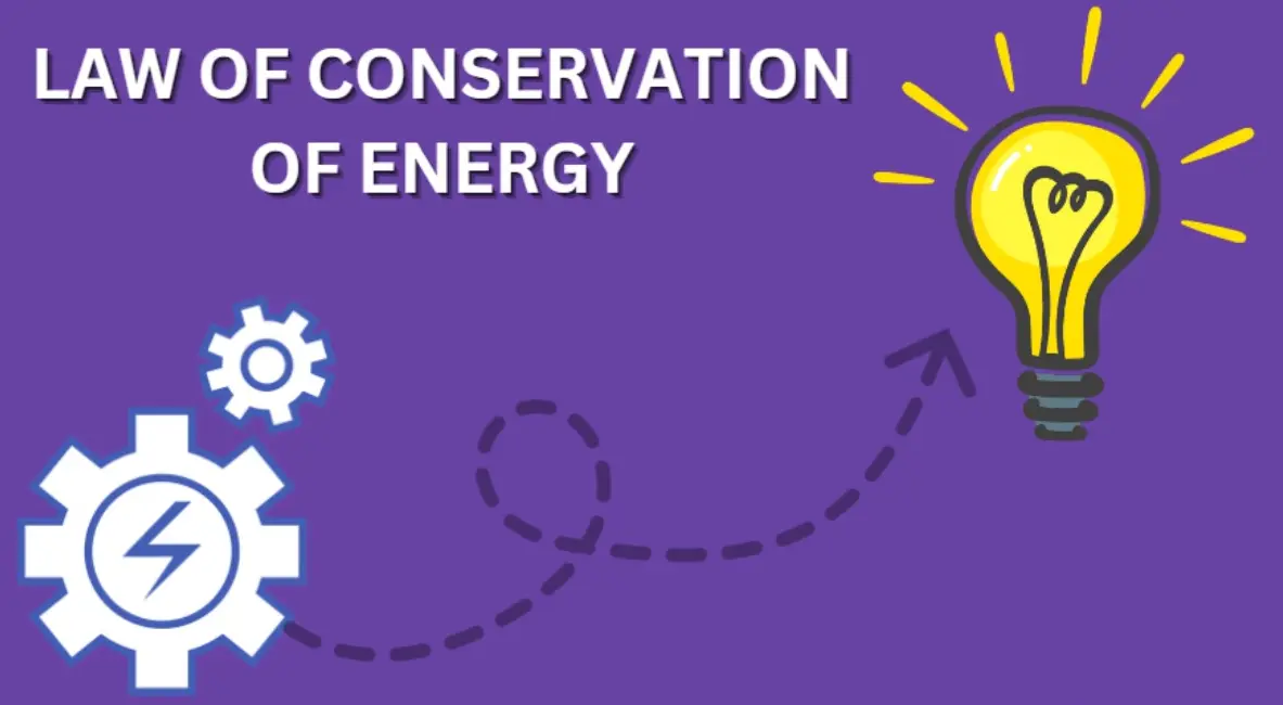 20 Energy Law Quiz Questions and Answers
