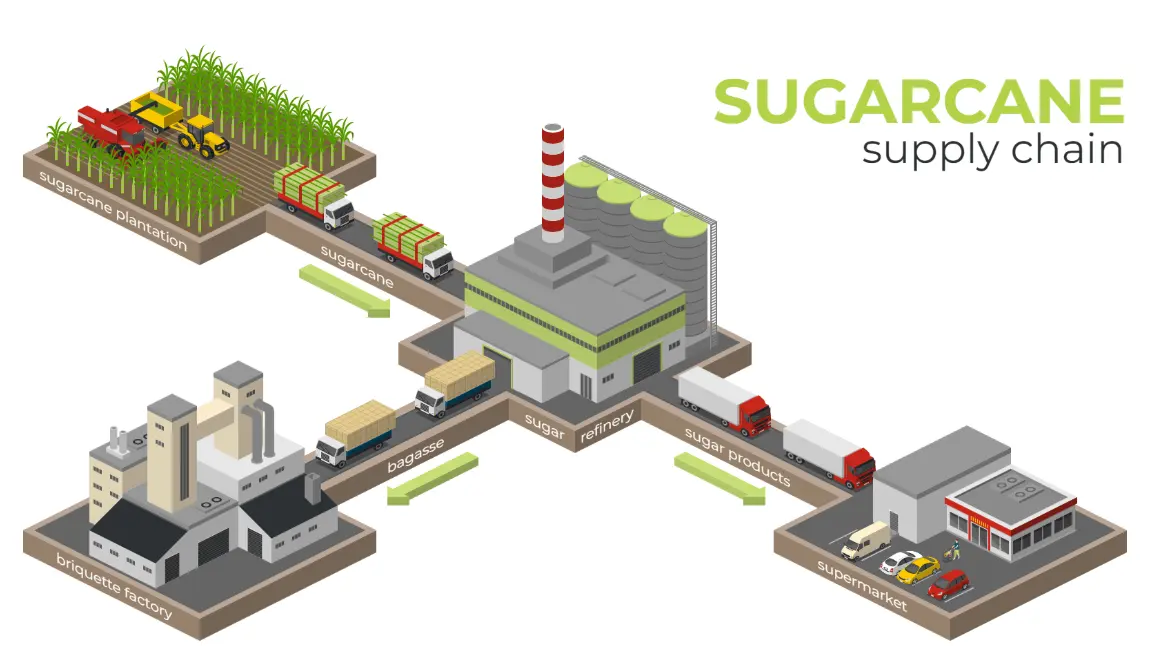 20 Sugar Industry Quiz Questions and Answers