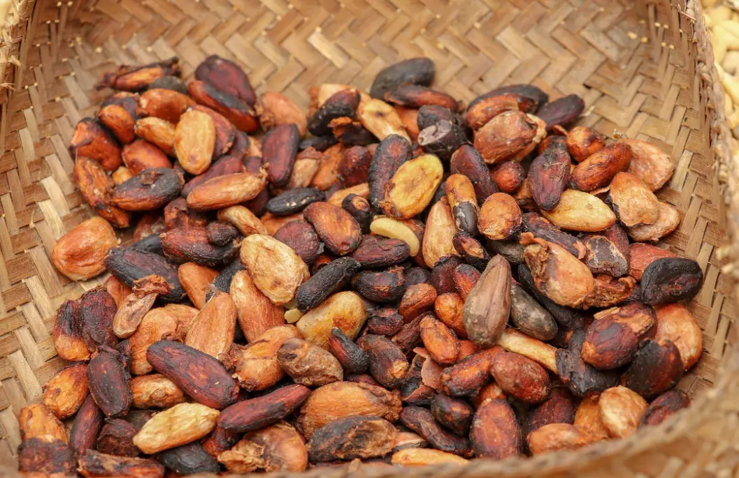 20 Cocoa Quiz Questions and Answers