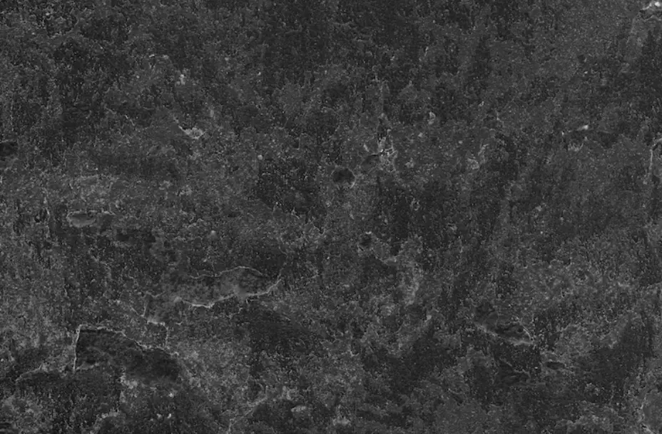 20 Marbl Quiz Questions and Answers