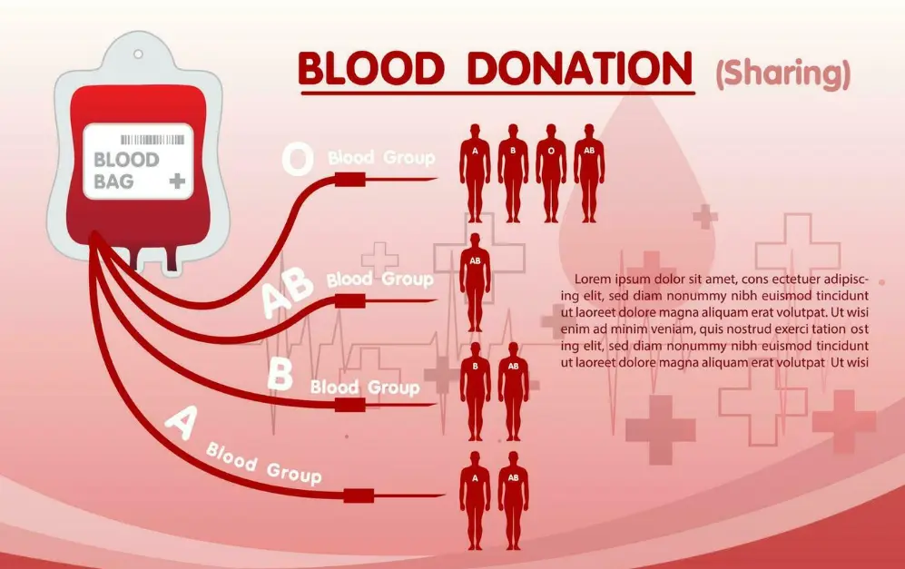 20 Blood Donation Safety Quiz Questions and Answers