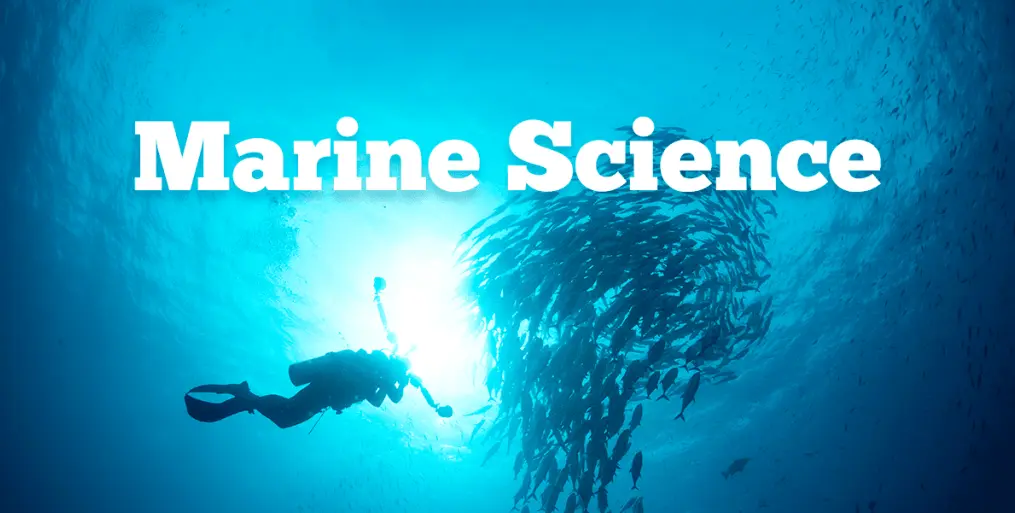 20 Ocean Science Quiz Questions and Answers