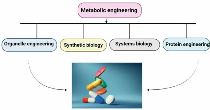 20 Metabolic Engineering Quiz Questions and Answers
