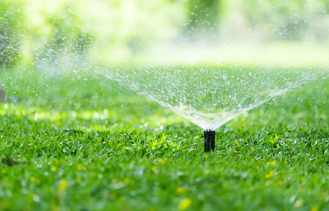 20 Irrigation Quiz Questions and Answers