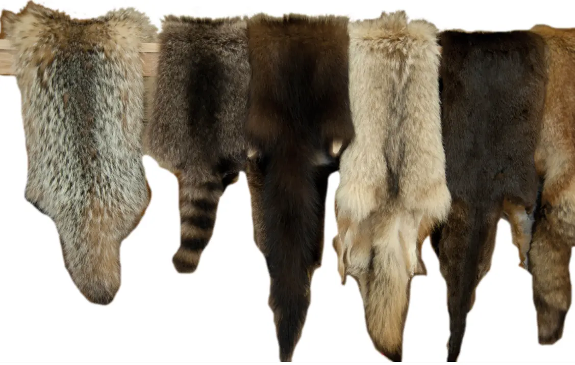 20 Furs Quiz Questions and Answers