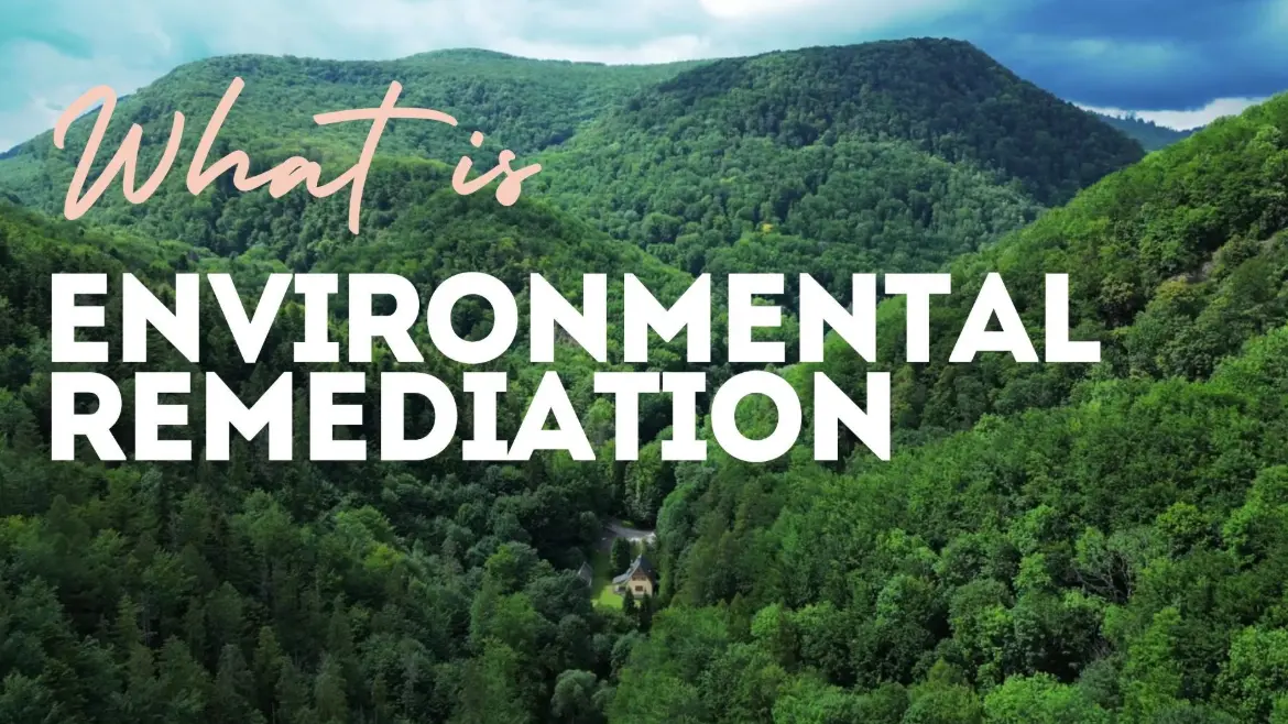 20 Environmental Remediation Quiz Questions and Answers