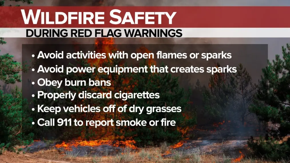 20 Wildfire Safety Quiz Questions and Answers