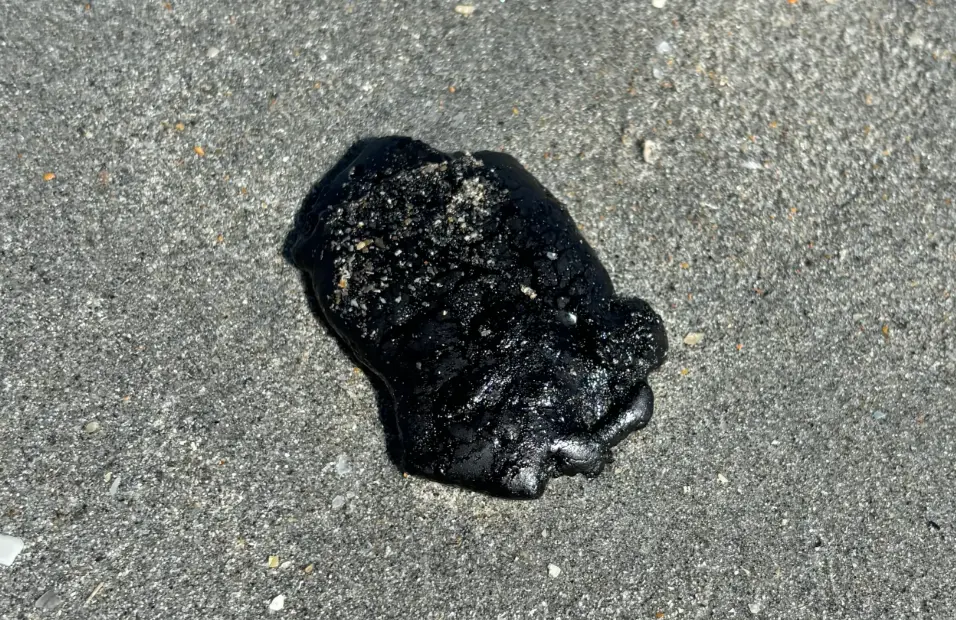 20 Tar Quiz Questions and Answers