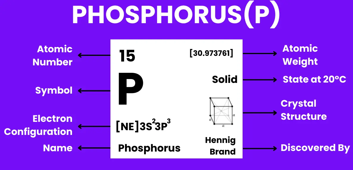 20 Phosphorus Quiz Questions and Answers