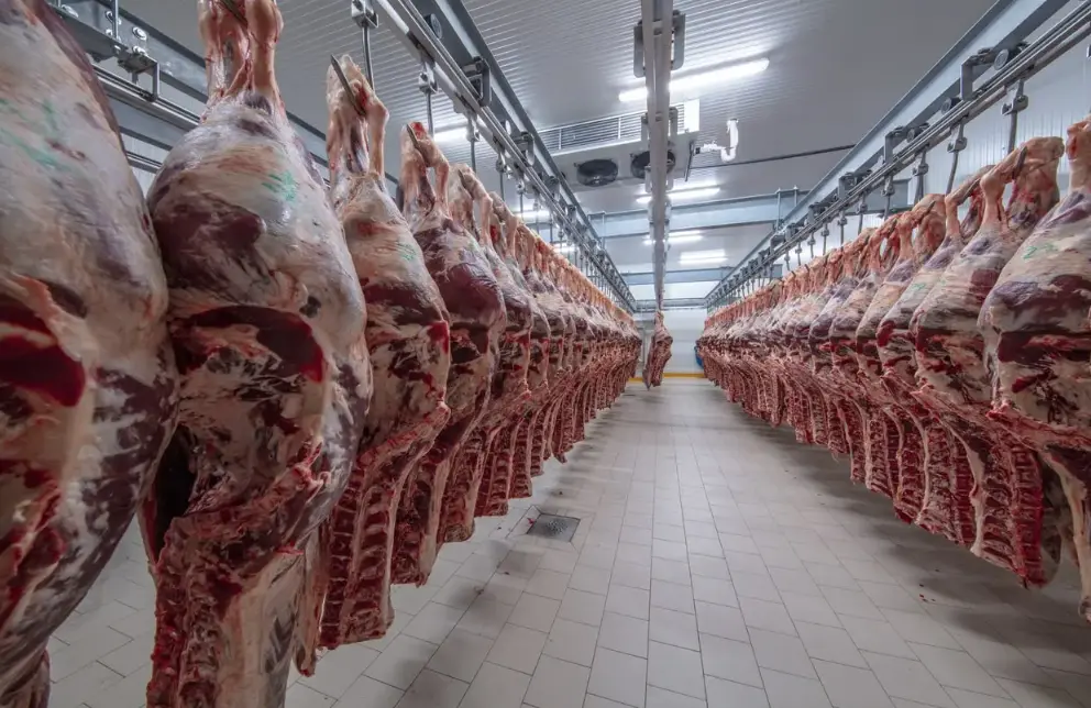 20 Meat Industry Quiz Questions and Answers