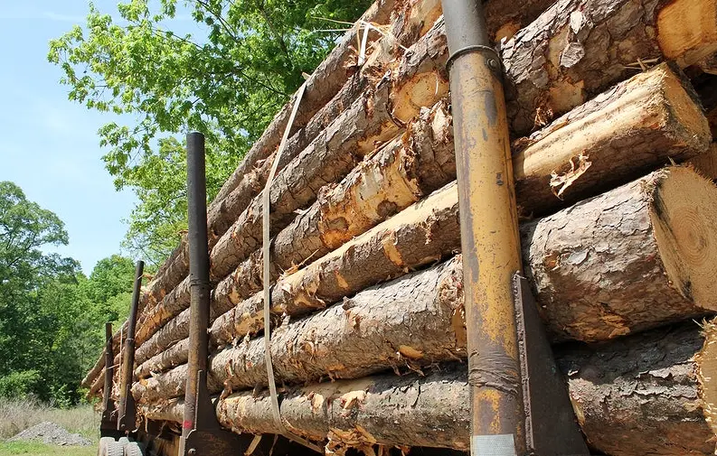 20 Wood Industry Quiz Questions and Answers